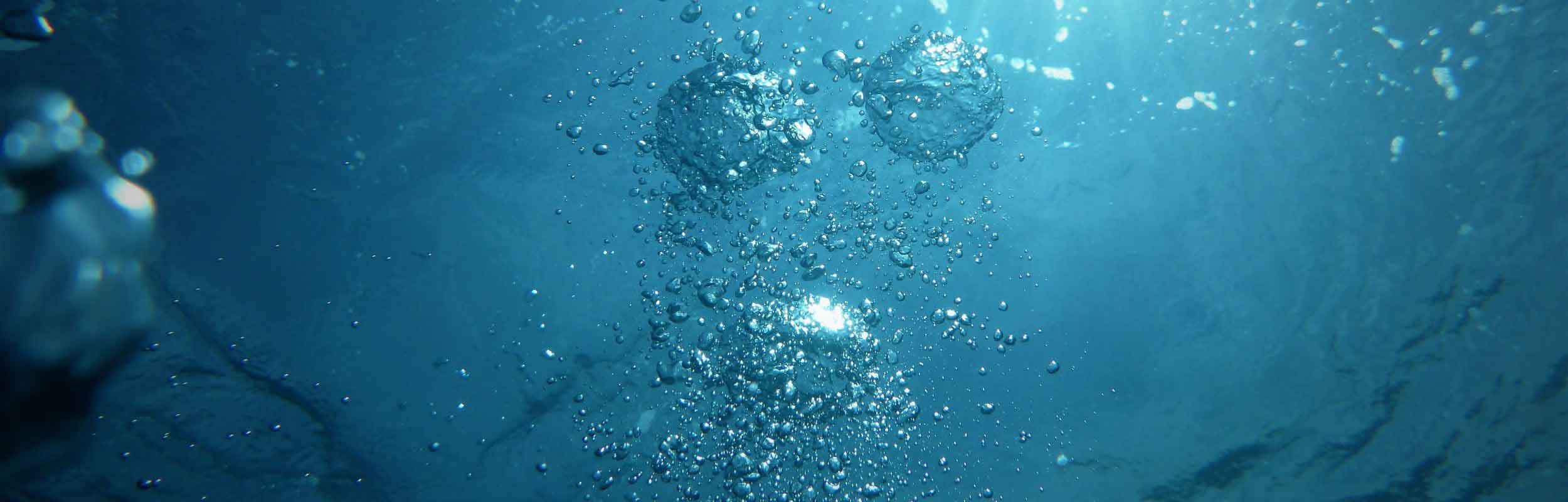 Les liquides du corps