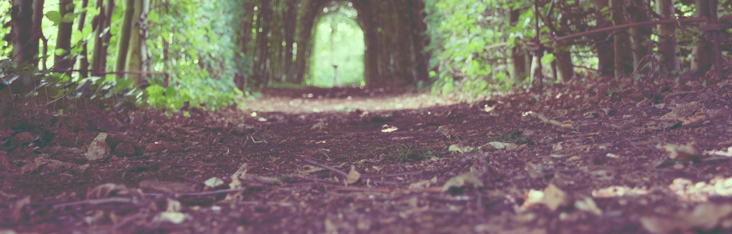 Déstructurer son identité et renaître à soi