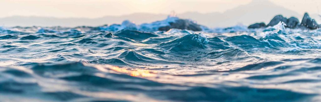 Capacité d'adaptation